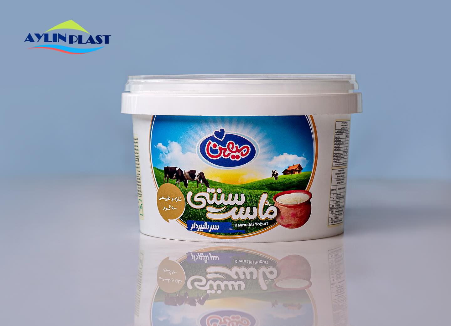 شرکت آیلین پلاست